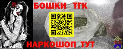 ALPHA PVP Гатчина