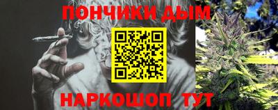 ALPHA PVP Гатчина