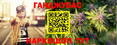 сатива Гай