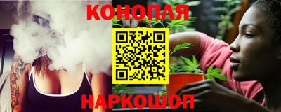 сатива Гай