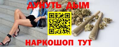 сатива Гай