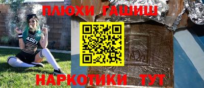 сатива Гай