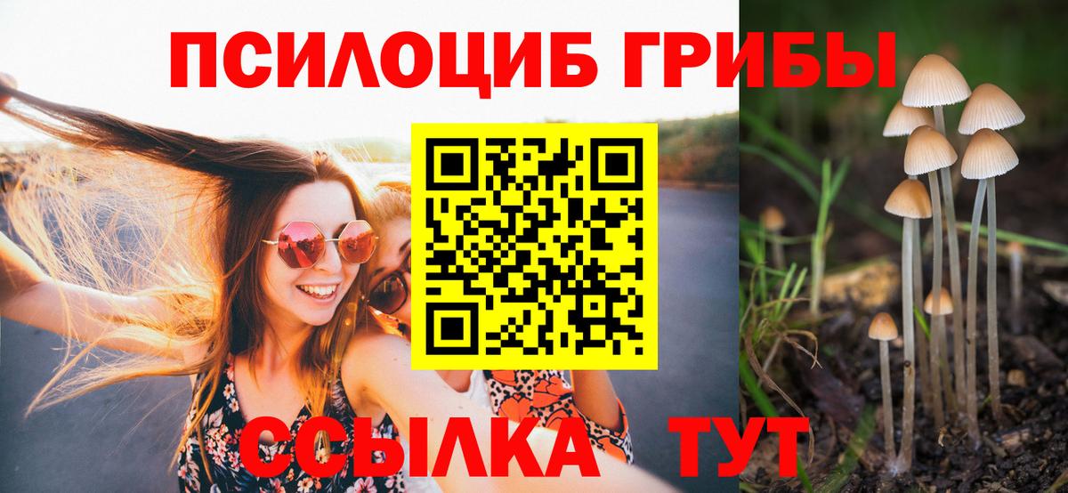 Галлюциногенные грибы GOLDEN TEACHER Горячий Ключ